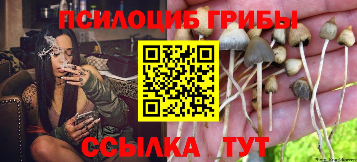 Галлюциногенные грибы Psilocybine cubensis  Вход с VPN  Трёхгорный 